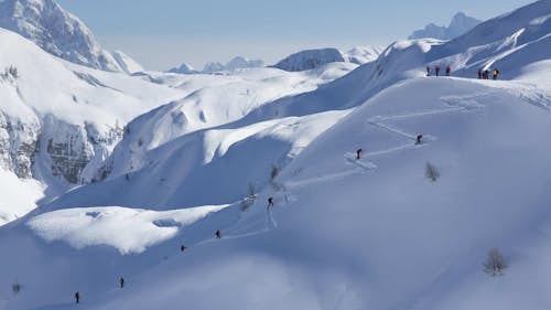 Alpe Adria guided off piste skiing day tours