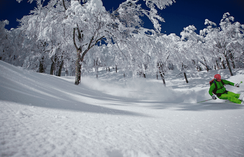7-day freeride ski tour in Hakuba