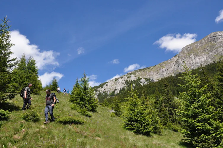 Eco-certified Hiking Tour in the Carpathians, Romania