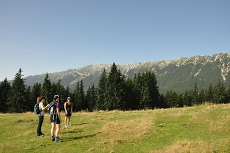 Eco-certified Hiking Tour in the Carpathians, Romania