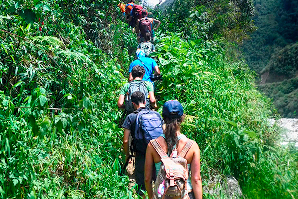 3-day Inca Jungle Route to Machu Picchu. Trekking, mountain biking and other activities