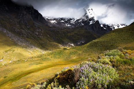 Huayhuash Trek, Diablo Mudo (5,350m) and Tocllaraju (6,034m) in 22 days, Peru