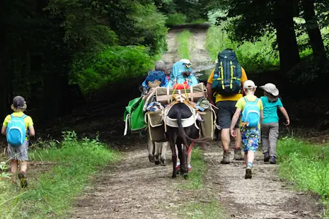 Belgium guided hiking tours with donkeys
