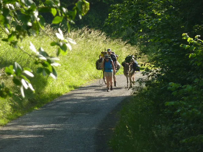 Hiking tour in Les Ardennes