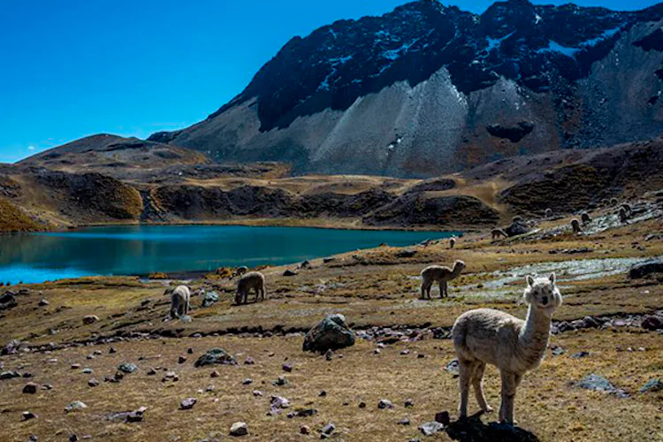 Ausangate Trek, Peru, Guided 5 Day Trek 1