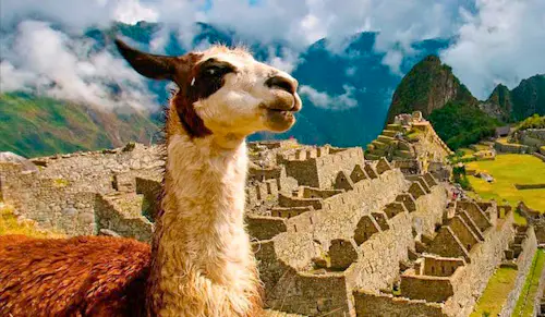 Inca Trail, Machu Picchu Guided Trek