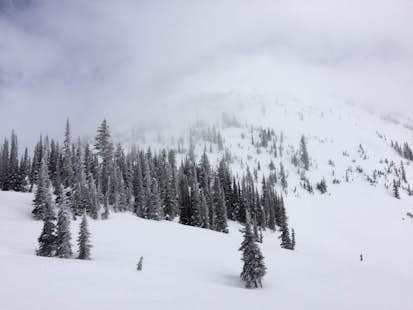 March Radness Guided Splitboarding trip in Lake Louise