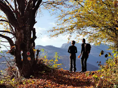 1+ day Trekking in the Cerna Valley in Romania, Mehedinti Mountains