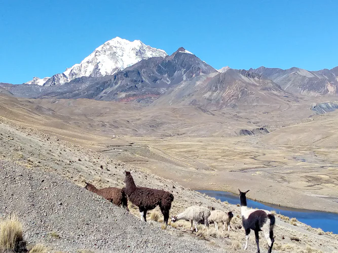 Randonnée de 8 jours Condoriri - Huayna Potosí