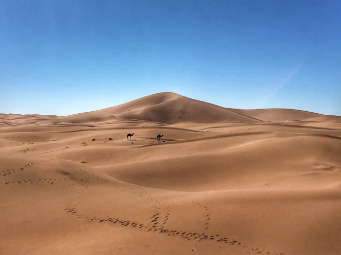 Nomad Sahara Desert Trek from Marrakesh