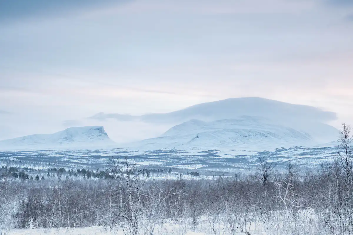 A Wild Abisko Pulka-pulled Backcountry Adventure in Sweden post image