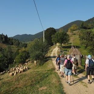 Romanian Village Trek in the Transylvanian Carpathian Mountains