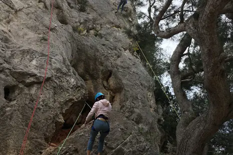 Marseille Single Pitch Half-day Rock Climbing Trip