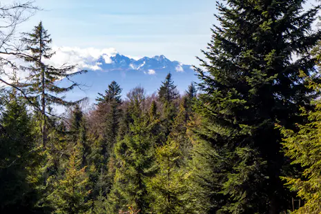 Trekking in Beskid Sądecki and Pieniny Mountains, Lesser Poland