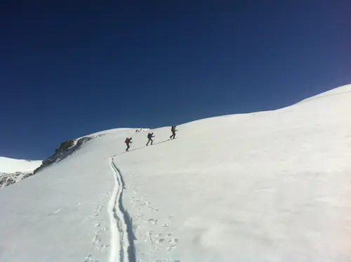 Tour de Esquí y Ascenso en los Volcanes del Sur de Chile