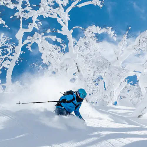 Freeride y esquí de travesía alrededor de Honshu, Alpes Japoneses