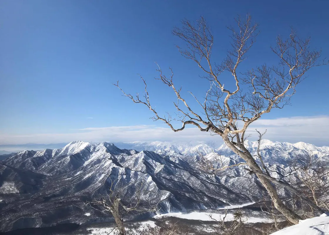 Semana de Esquí de Travesía en Hakuba | undefined