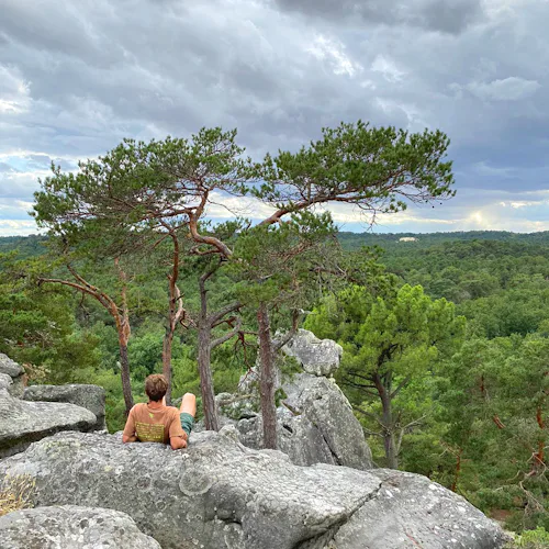 Fontainebleau trip