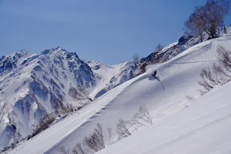 1-day Backcountry ski tour in Hakuba (Nagano), Japan
