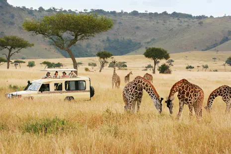 Holiday Safari in Kenya, Africa