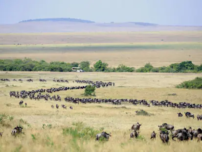 Kenya Lodge Safari