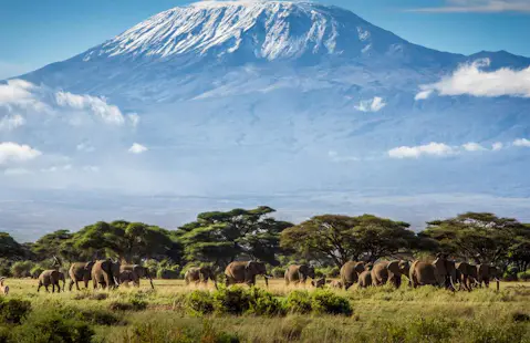 Safari in Amboseli Tsavo, Nairobi 