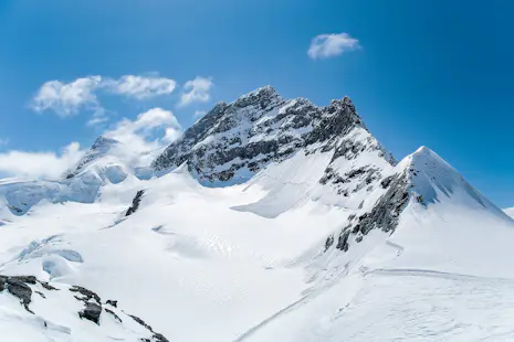 Semaine de ski-alpinisme dans l'Oberland bernois, 7 sommets de 4 000 mètres.