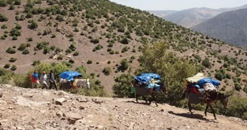 Toubkal Ascent Trek in Morocco