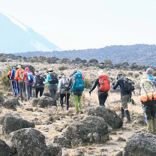 Hiking Machame Route Kilimanjaro