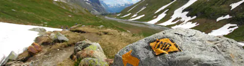 Tour du Mont Blanc Trek from Chamonix