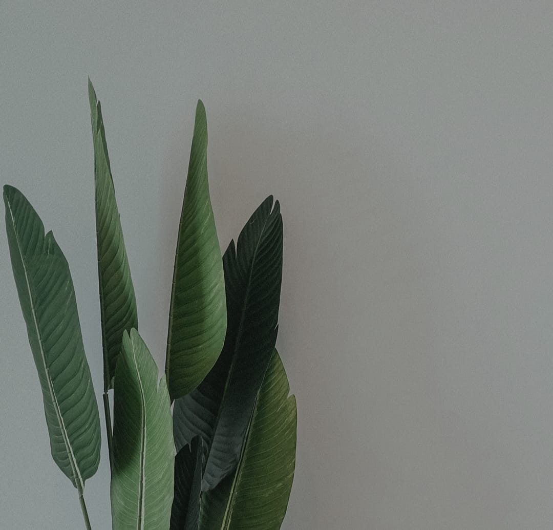 Contact Face Forward Medical Aesthetics