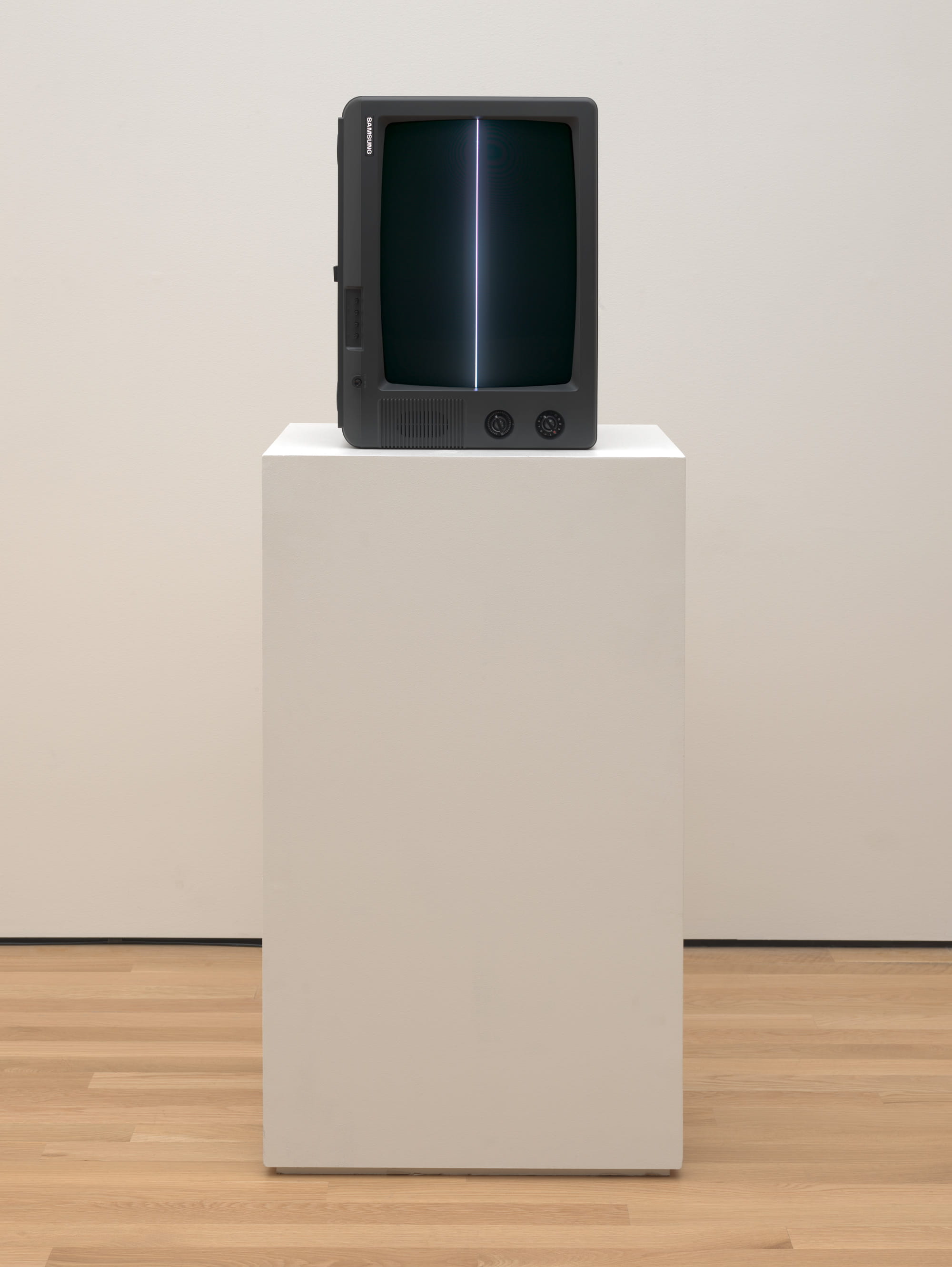 Nam June Paik