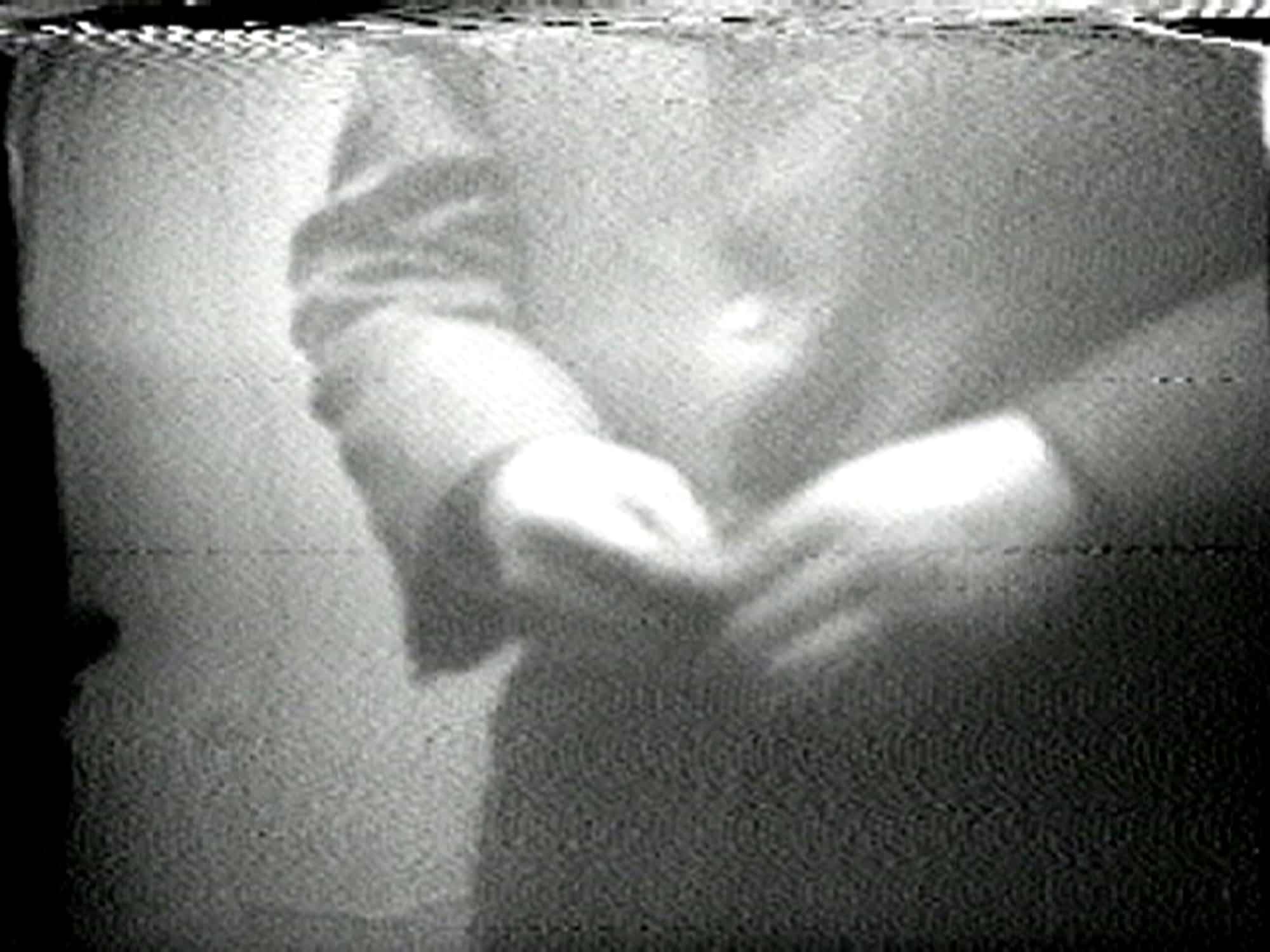Nam June Paik