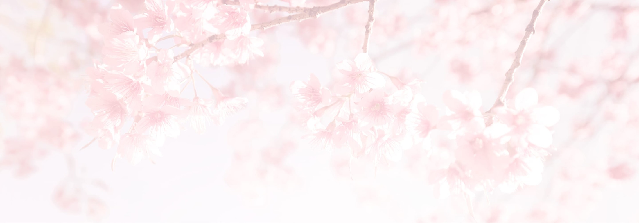 Banner media