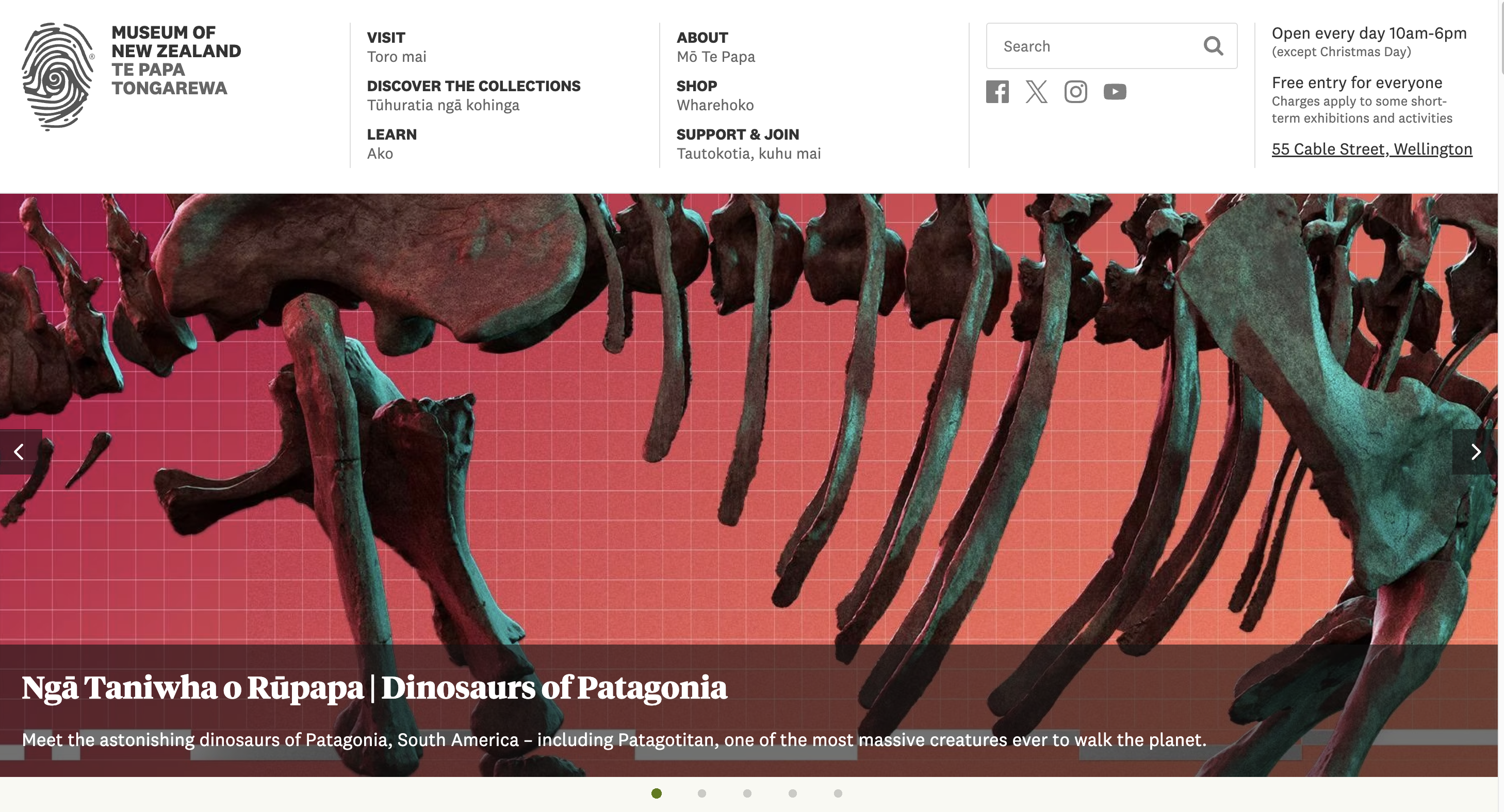 Image of dinosaur bones on a website
