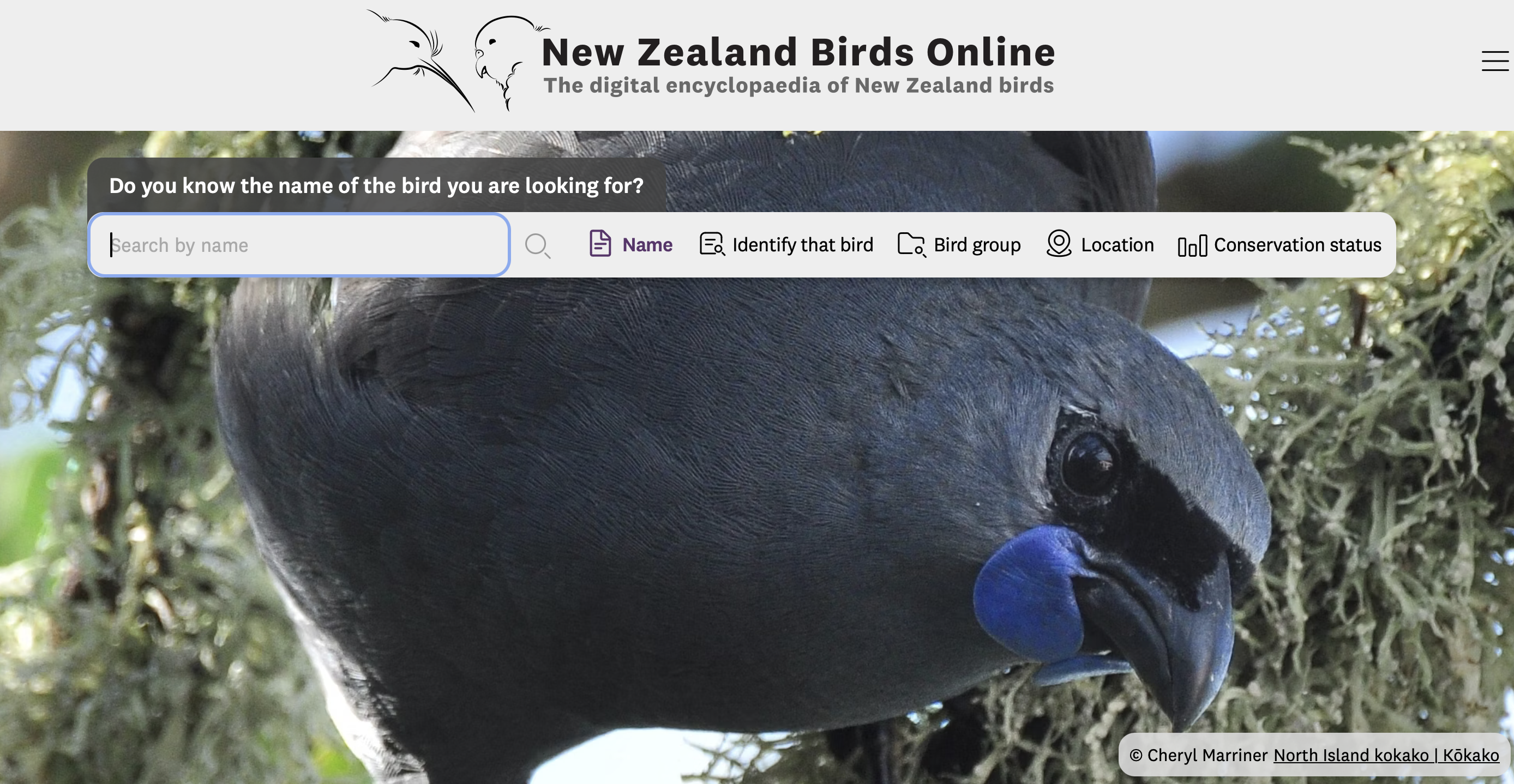 Screen shot of the  New Zealand Birds Online website homepage