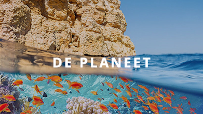 Sustainability report - banner PLANET - square format - BE-Flemish.jpg