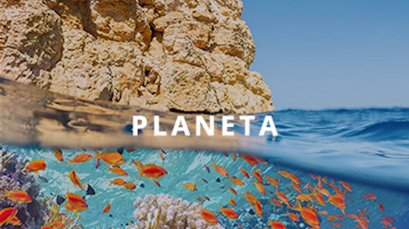 Sustainability report - banner PLANET- square format - BR.jpg
