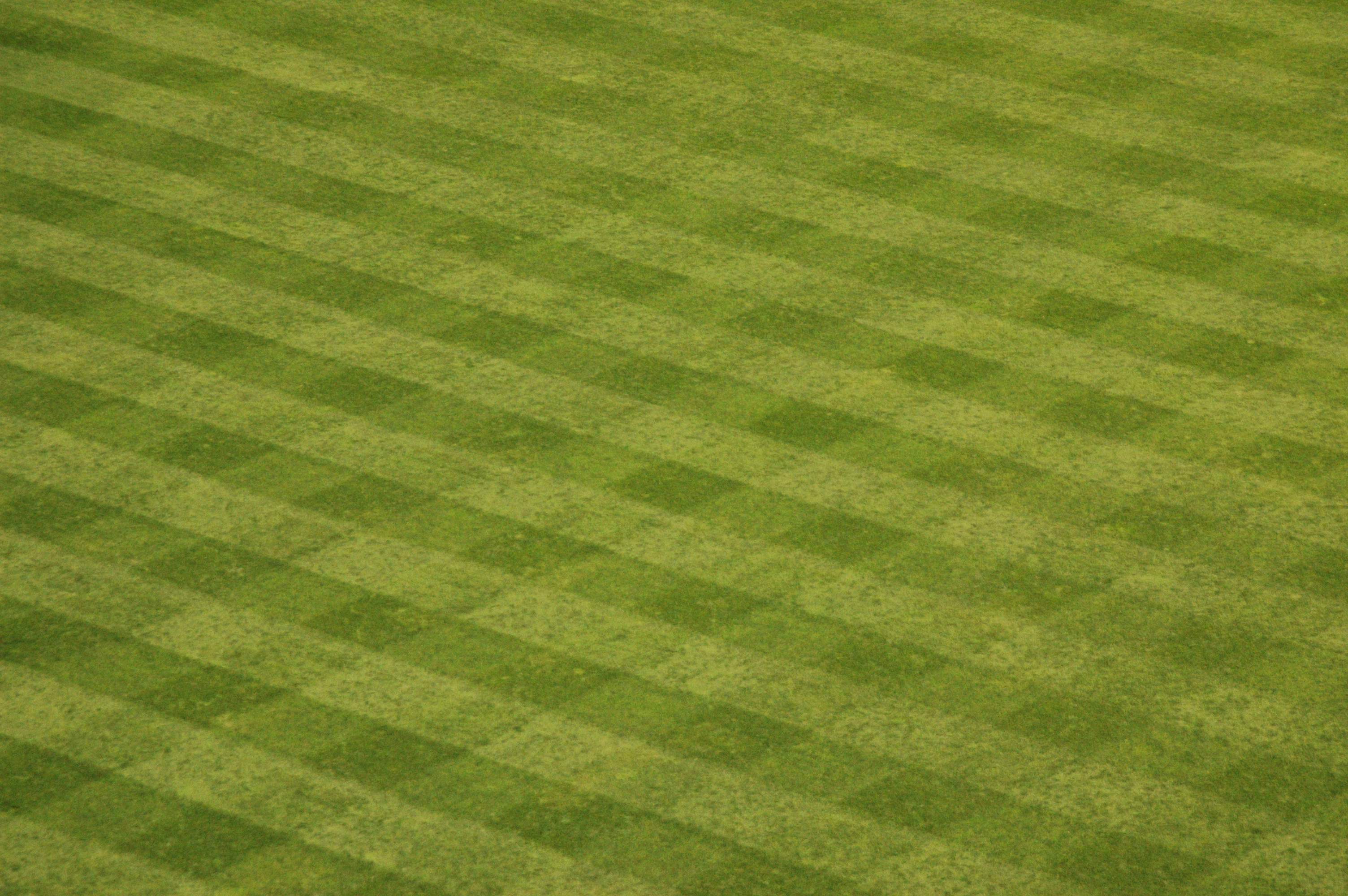 A checkerboard mowing pattern