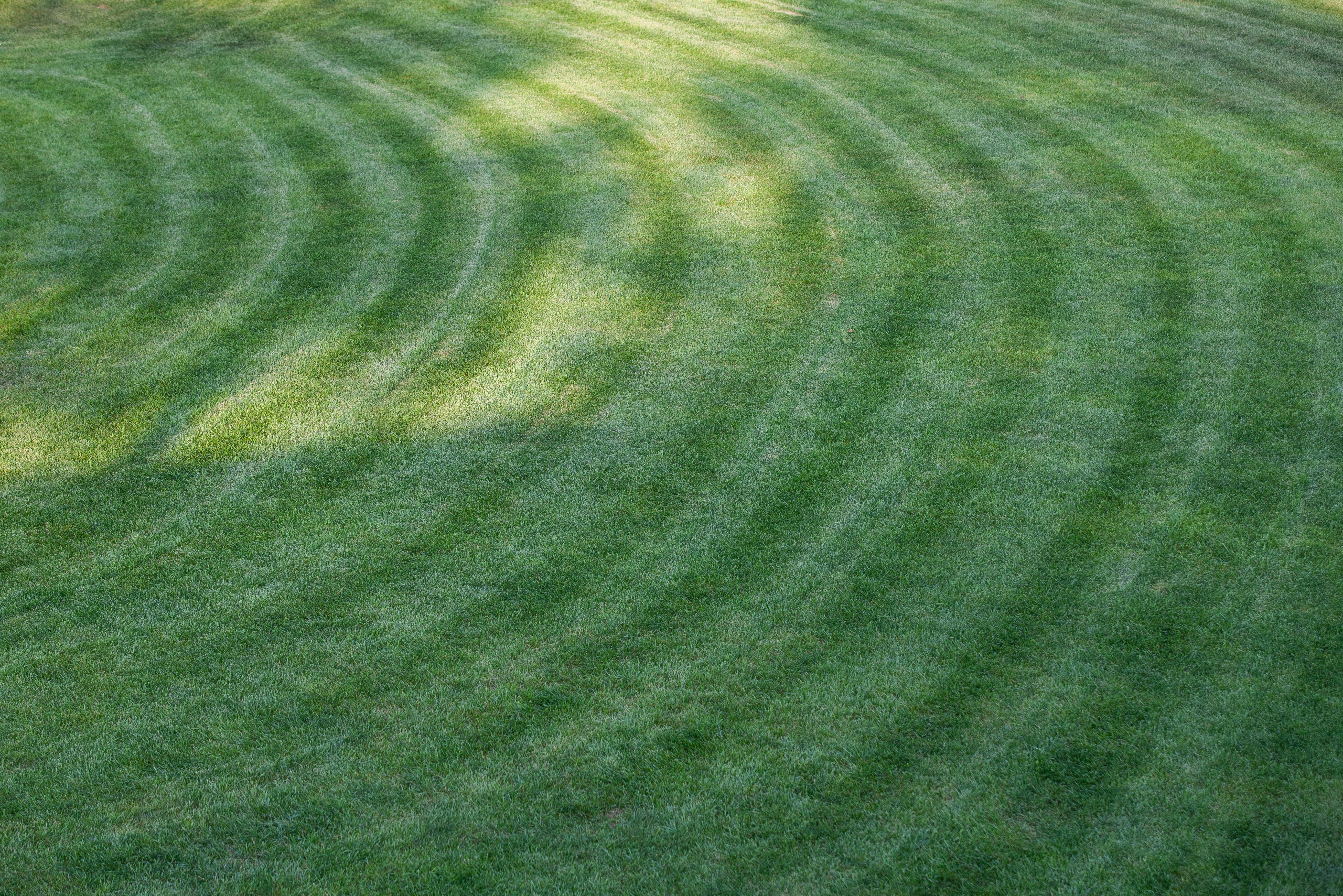 Circular lawn pattern