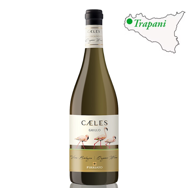 Caeles Grillo