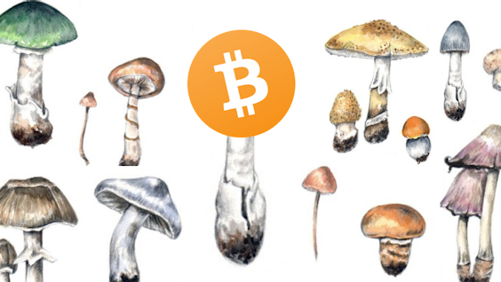 Bitcoin is The Mycelium of Money