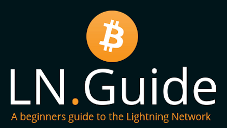 A Beginners Guide to the Lightning Network