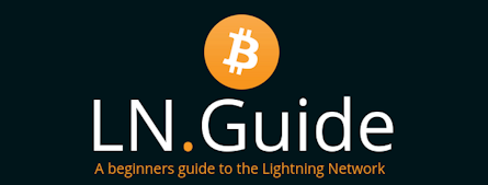 A Beginners Guide to the Lightning Network