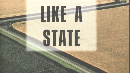 Seeing Like a State