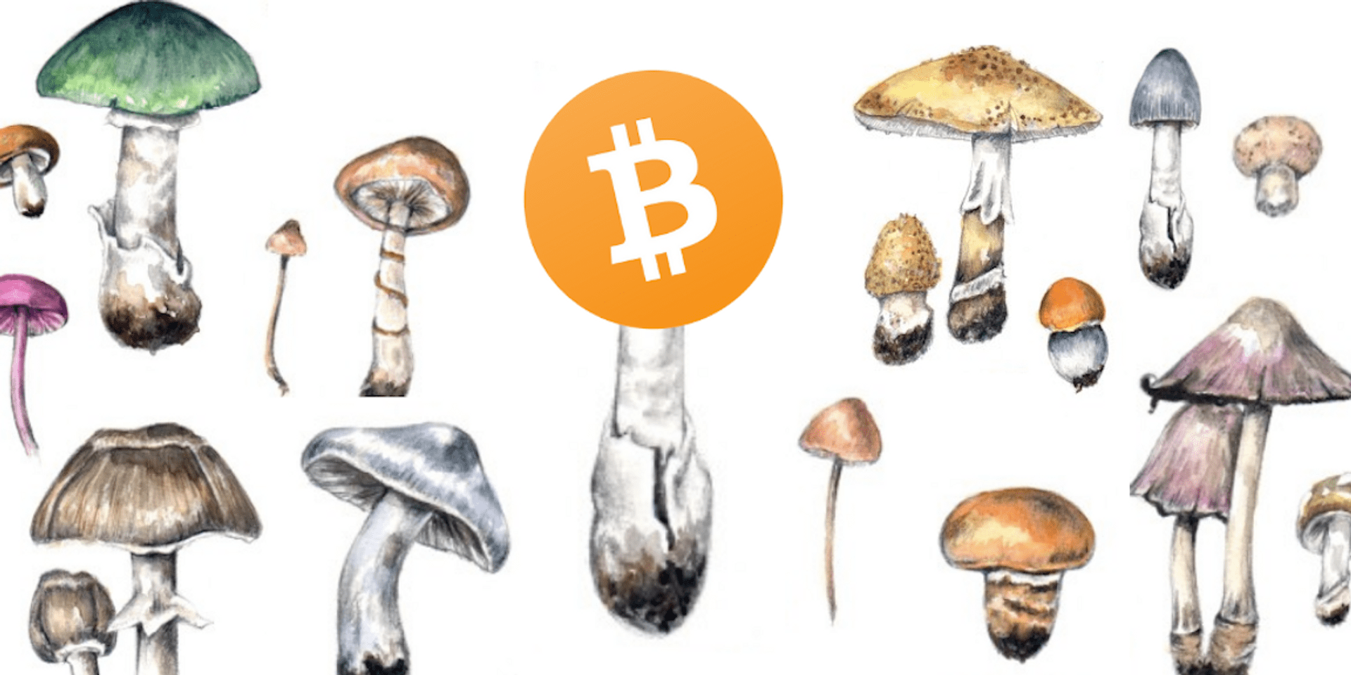 Bitcoin is a Living Organism 🍄