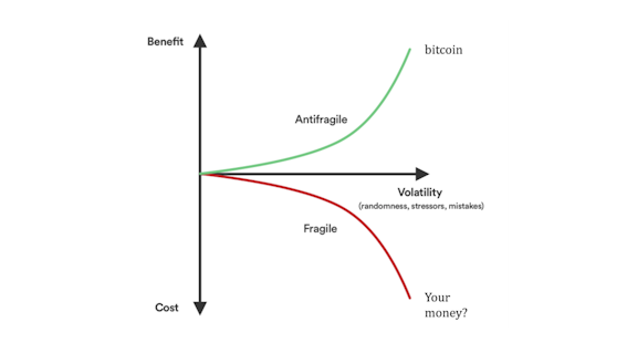 Bitcoin is Antifragile