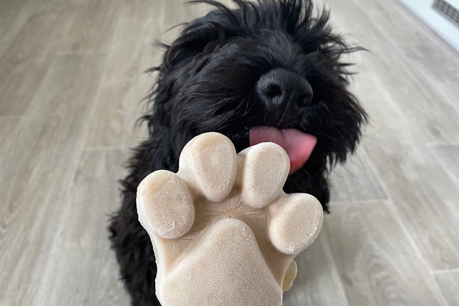 How to make healthy peanut butter ice lollies for dogs