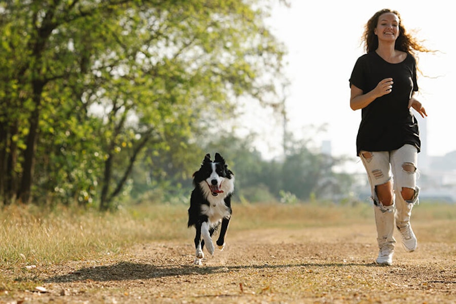 Running with your dog