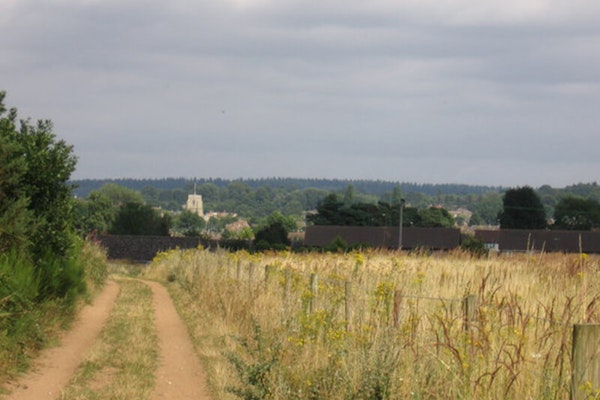 Hereward Way dog walk in Ely